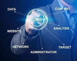 Professional CMS Development Company