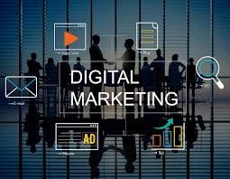 Professional Digital Marketing Agency