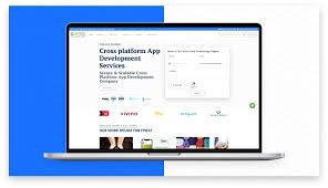 Professional Hybrid App Development Company