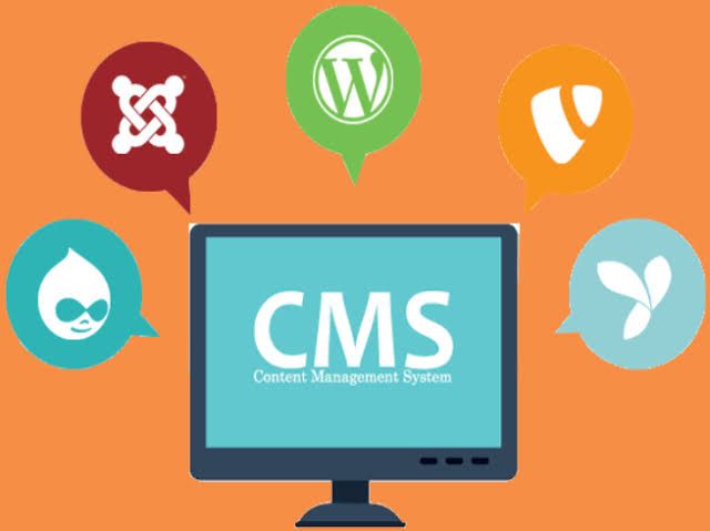 Professional CMS Development Company