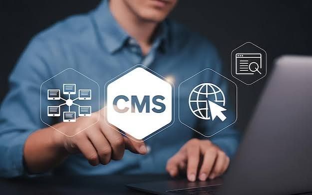 Custom CMS Development Solutions for Businesses