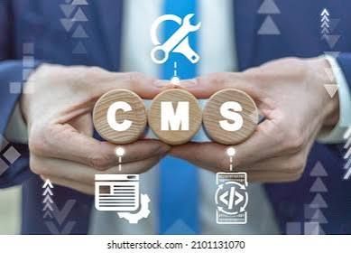 Enterprise CMS Development Company
