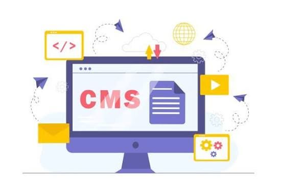 Secure and Scalable CMS Development Company