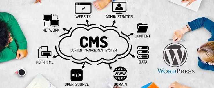 Best CMS Development Company in zulpich