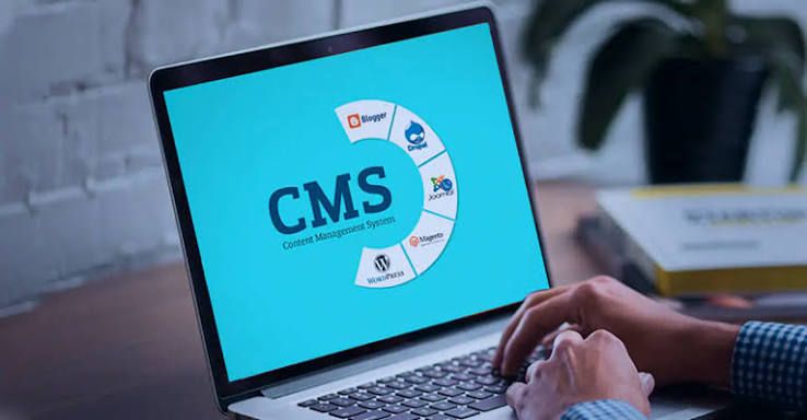 Enterprise CMS Development Company in zulpich
