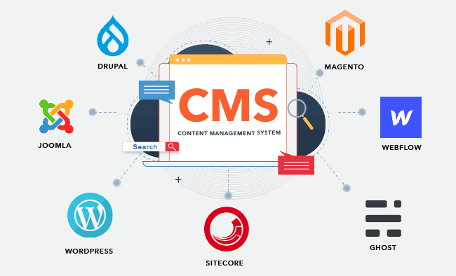 End-to-End CMS Development Services in petershagen