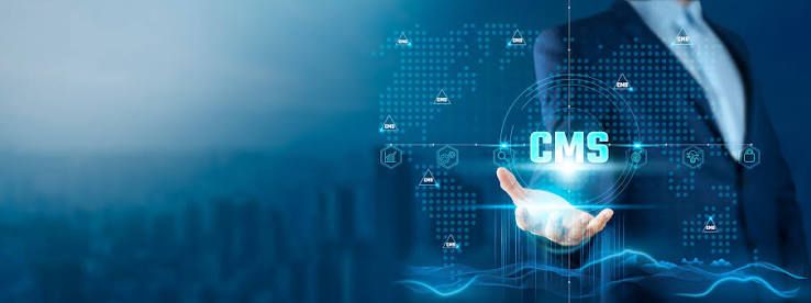 Custom Content Management System Development in petershagen