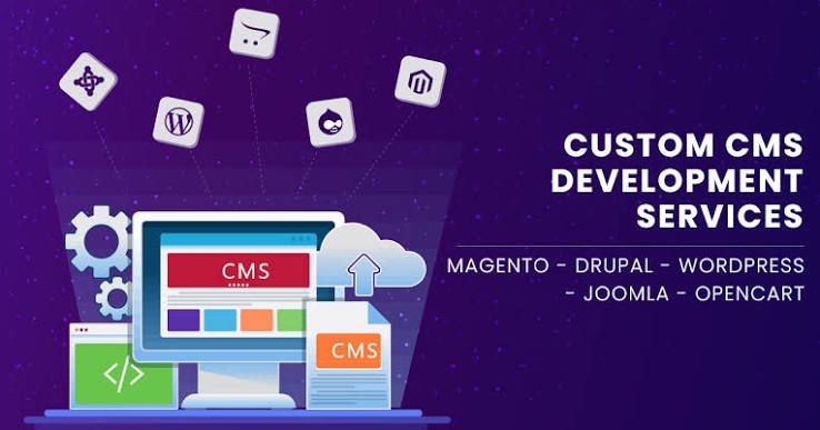 CMS Development for Modern Businesses in petershagen