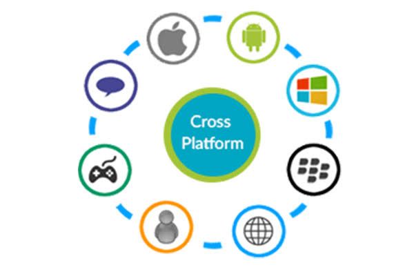Professional Cross Platform App Development Company