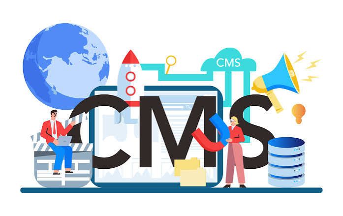 Custom CMS Development Services in toufflers