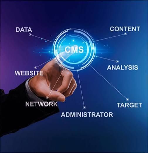 Professional CMS Development Company in pusignan