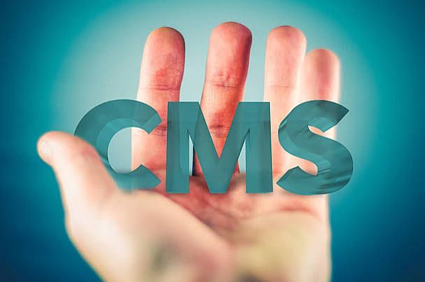 Scalable CMS Development Company in saint-germain-laprade