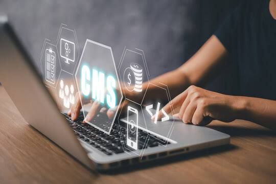 Affordable CMS Development Services in freudenstadt