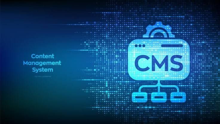 Headless CMS Development Company in pusignan