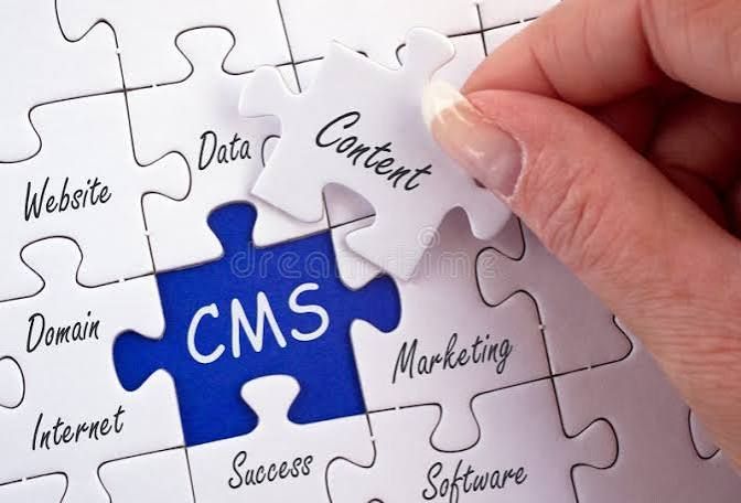 Secure CMS Development Services in contres