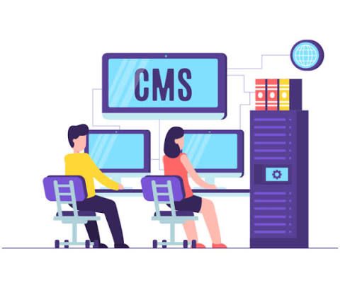 CMS Development for Business Websites in krynychky