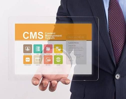 CMS Portal Development Company in krynychky