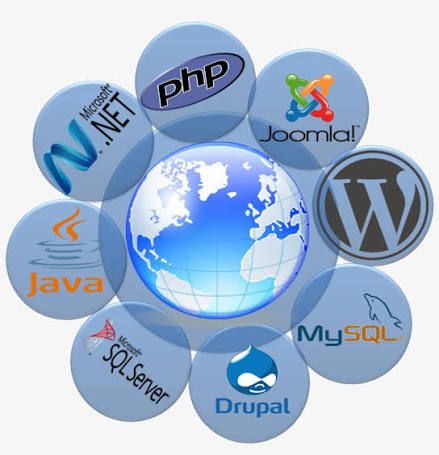 Software Development Company for Custom Business Solutions