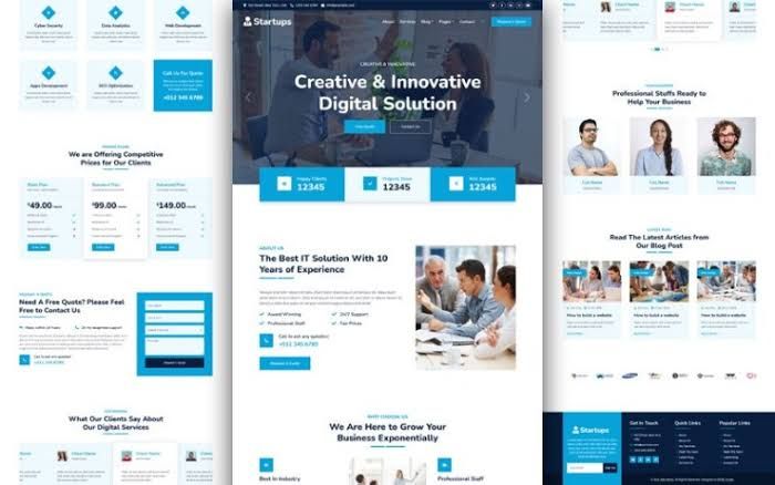 Affordable Website Designing Company in adachi for Startups